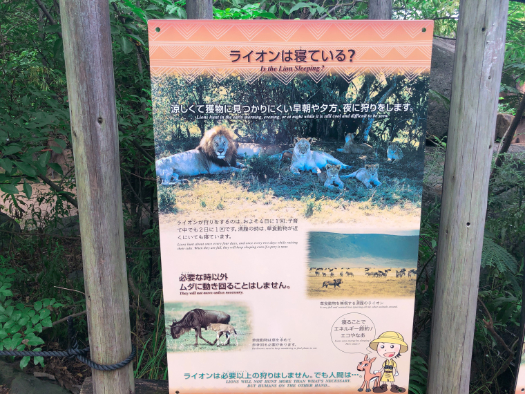 天王寺動物園　ライオン　看板