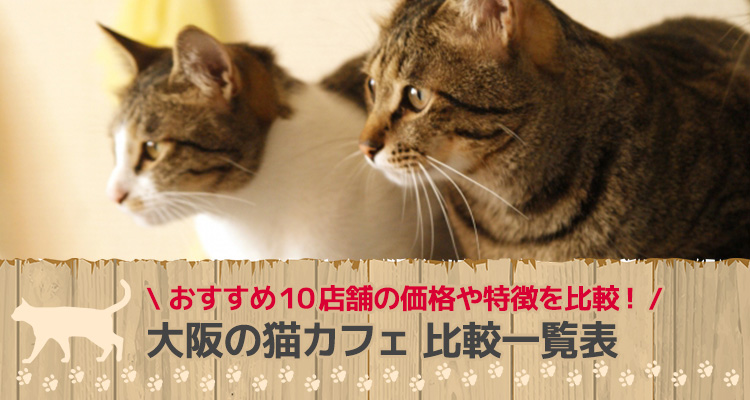 大阪の猫カフェ 比較一覧表