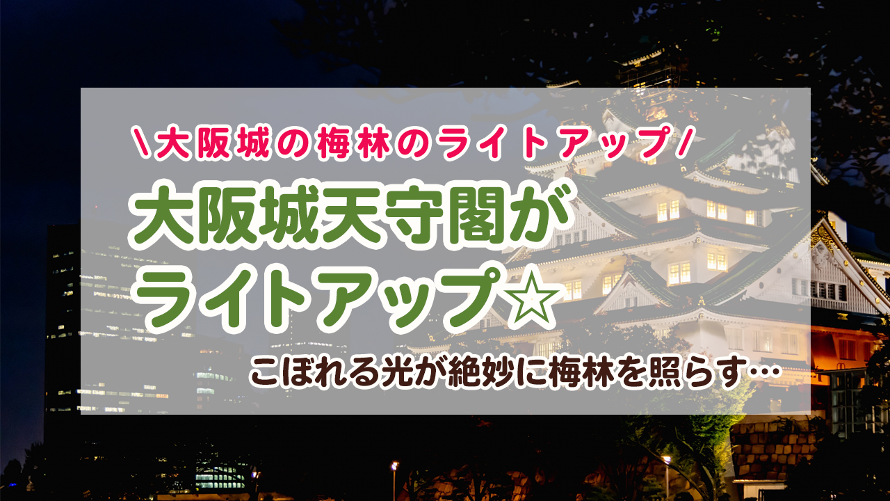 ライトアップされた夜の大阪城