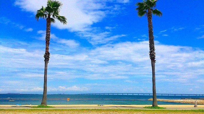 大阪から行けるおすすめ海水浴場 ビーチ14選 大阪から海にでかけよう Osakaええとこ案内