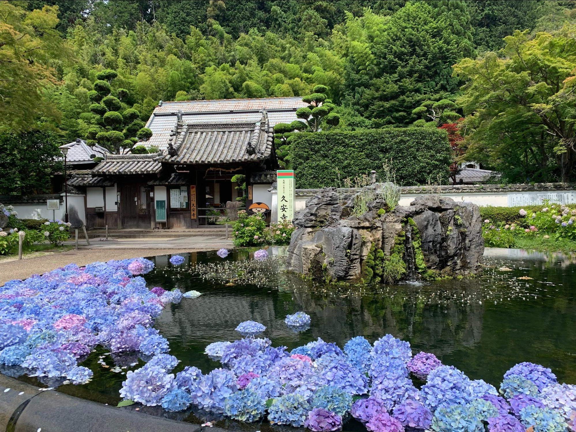 あじさい 紫陽花 が彩る久安寺に行ってみた 御朱印や歴史 行き方を解説 Kansai 関西ええとこ案内