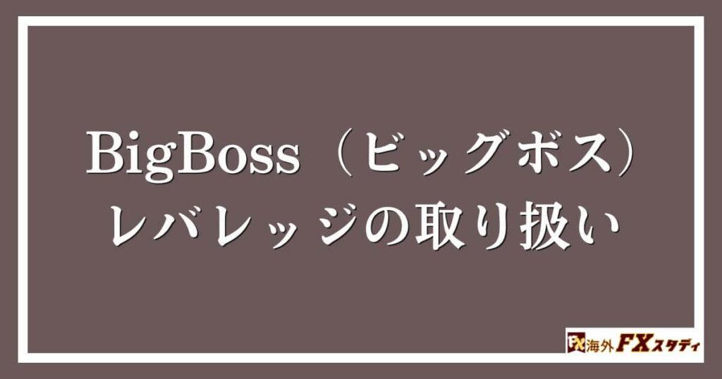 BigBoss（ビッグボス）におけるレバレッジの取り扱い