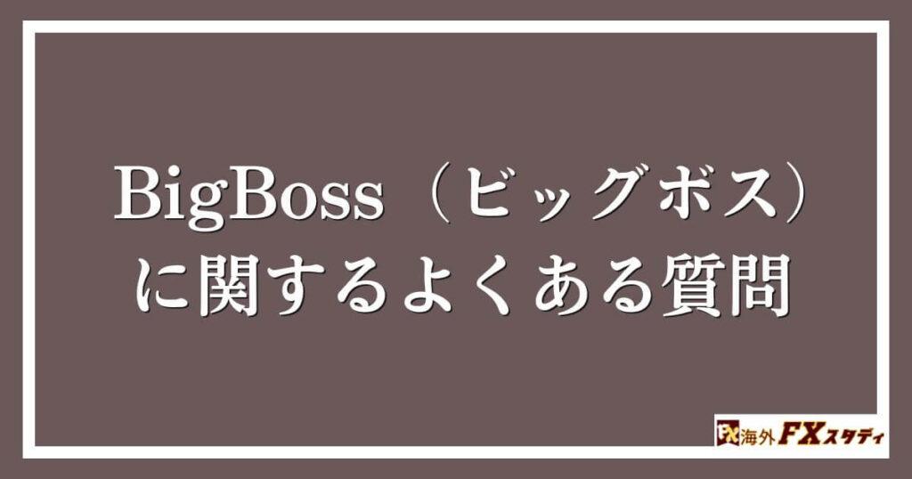 BigBoss（ビッグボス）に関するよくある質問