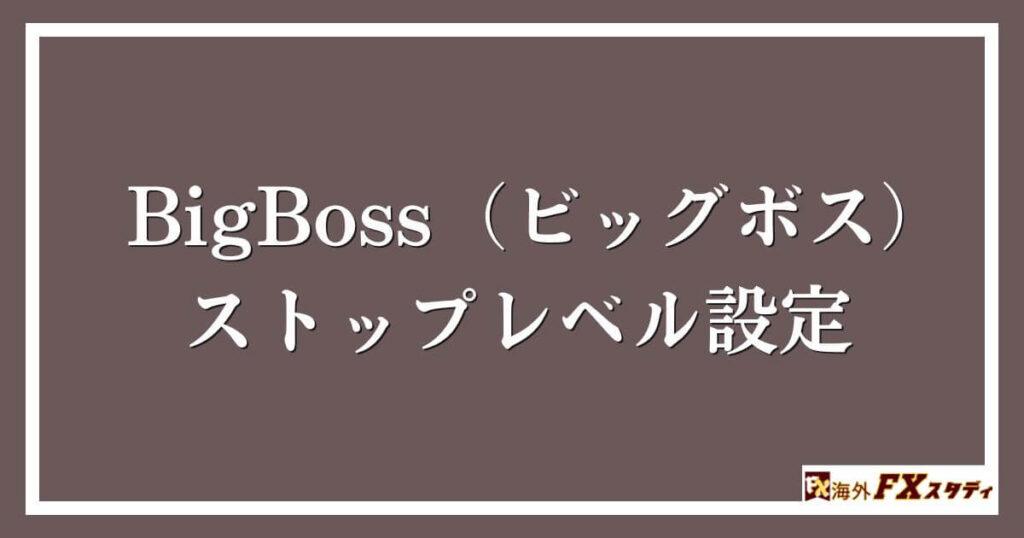 BigBoss（ビッグボス）のストップレベル設定