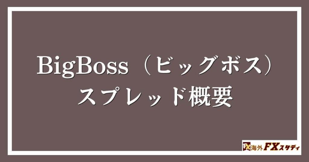 BigBoss（ビッグボス）のスプレッド概要