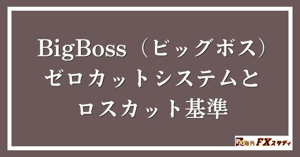 BigBoss（ビッグボス）のゼロカットシステムとロスカット基準