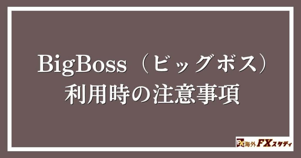 BigBoss（ビッグボス）利用時の注意事項