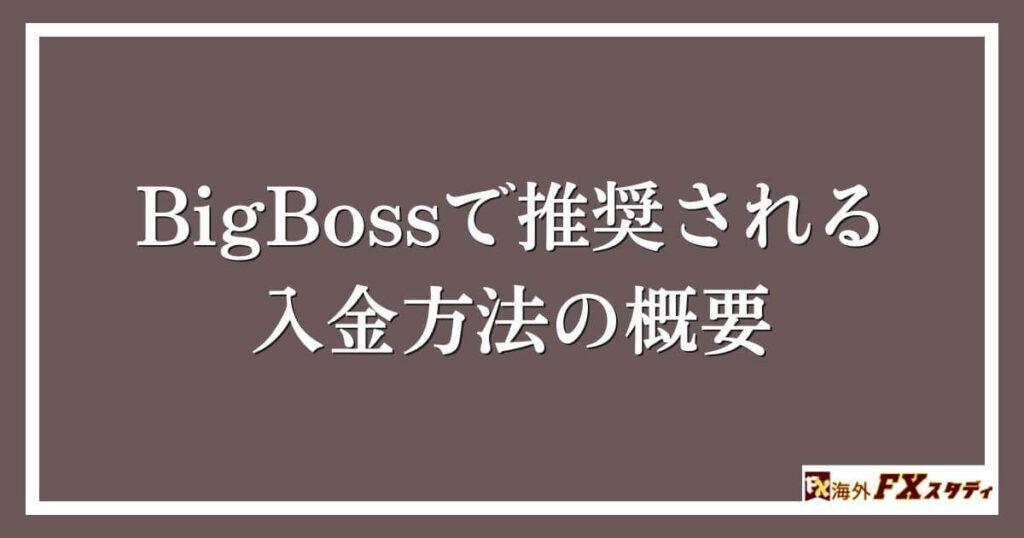 BigBossで推奨される入金方法の概要